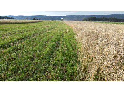 Terralife® - CerealPro-6