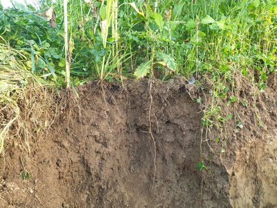 TerraLife® - MaisPro TR-4