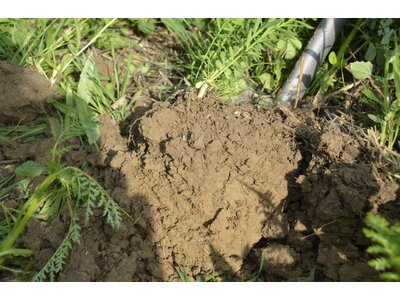 TerraLife® - MaisPro TR-1
