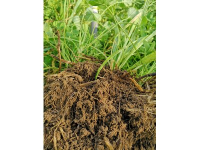 TerraLife® - SoilProtect-1