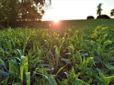 TerraLife® - WarmSeason-3