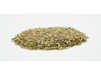 COUNTRY F 2483 Organic-2