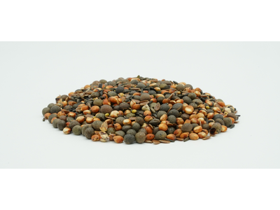 TerraLife® - WarmSeason-5