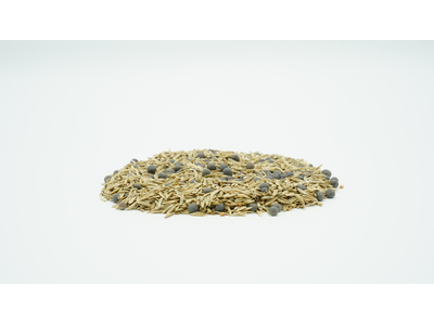 TerraLife® - Mieszanka Gorzowska-7