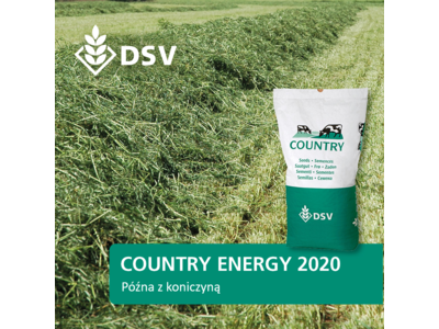 COUNTRY Energy 2020-0