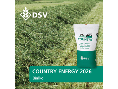 COUNTRY Energy 2026-0