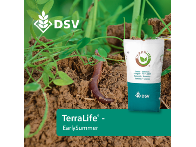 TerraLife® - EarlySummer-0