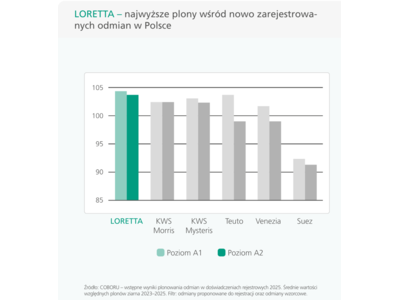 Loretta-1