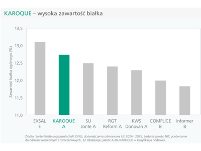 Karoque-2